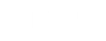 Birdie Disc Golf Supply Co.