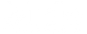 Birdie Disc Golf Supply Co.