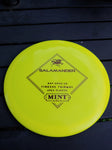 Mint Apex Salamander