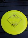 Mint Apex Salamander